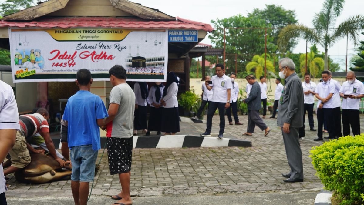 Penyembelihan Hewan Qurban Tahun 1443 H/2022 M di Pengadilan Tinggi Gorontalo